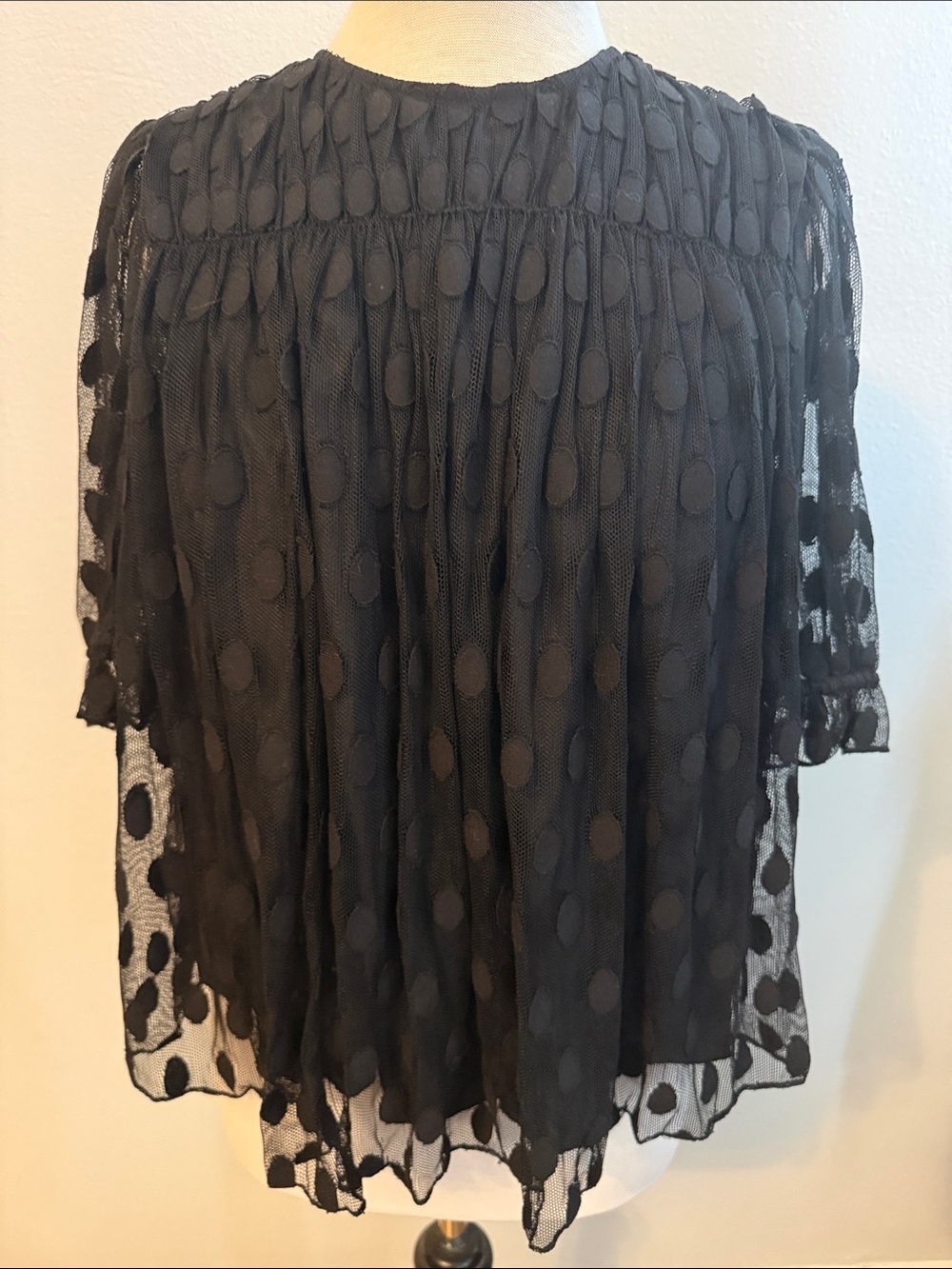 Ulla Johnson Sheer Polka Dot Top
